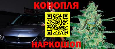 ALPHA PVP Канаш