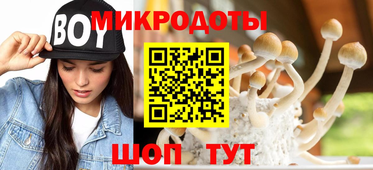 Псилоцибиновые грибы мухоморы Благовещенск