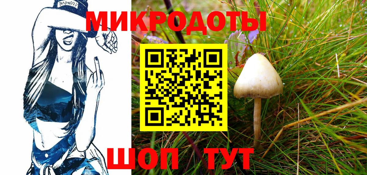 Псилоцибиновые грибы GOLDEN TEACHER  Вход с VPN  Благовещенск  Псилоцибиновые грибы GOLDEN TEACHER 