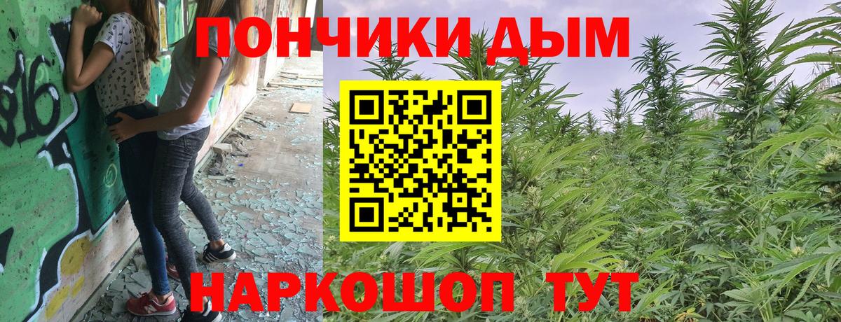 Бошки Шишки OG Kush Благовещенск